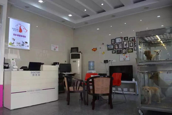 宠物连锁店商品标签如何有效利用?(一) 宠物连锁店商品标签如何有效利用?(一)